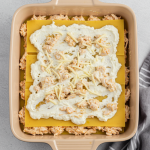 Layering Alfredo lasagna with ricotta cheese, pasta sheets, and shredded chicken